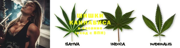 spice Алексин