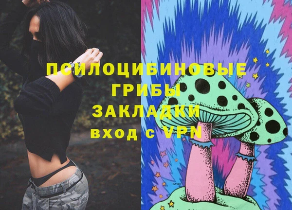 spice Алексин