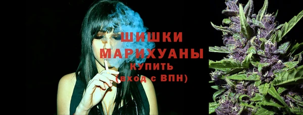 шишки Аркадак